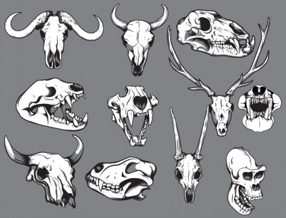 Skulls vector pack 12 2