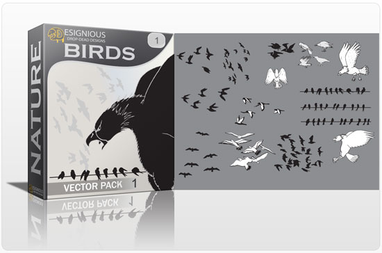Birds vector pack 1 1