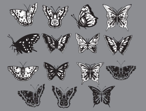 Butterflies vector pack 2