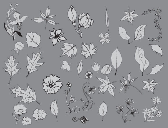 Floral vector pack 17 2