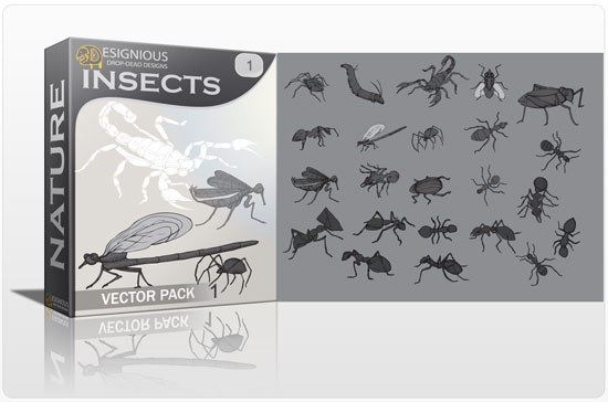 Insects vector pack 1
