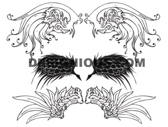 Wings brushes pack 5 2