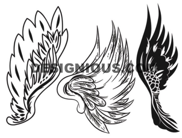 Wings brushes pack 7 2