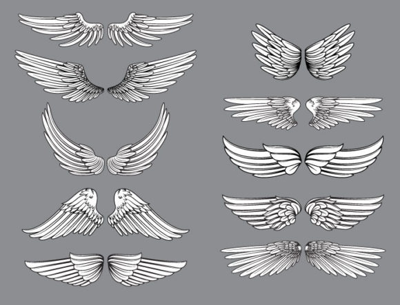 Wings vector pack 13 2