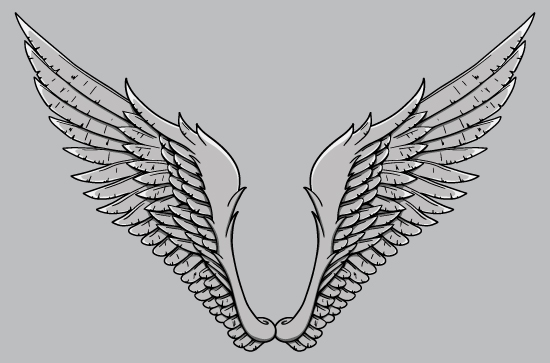 Wings vector pack 16 2