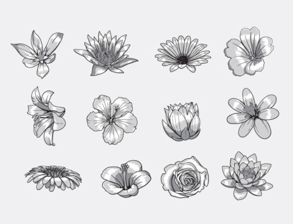 Floral vector pack 72 2