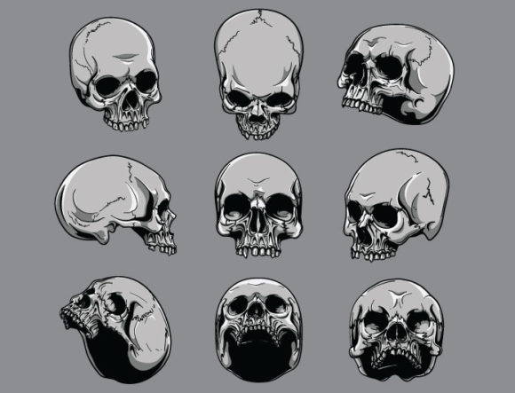 Skulls vector pack 20 2
