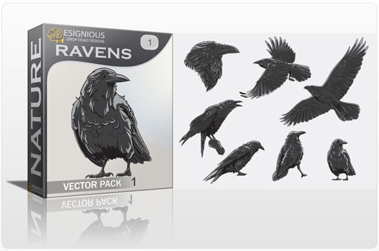 Ravens Vector Pack 1 1
