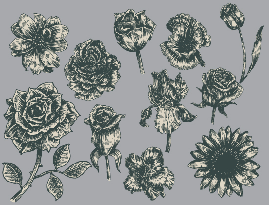 Floral Vector Pack 75 2