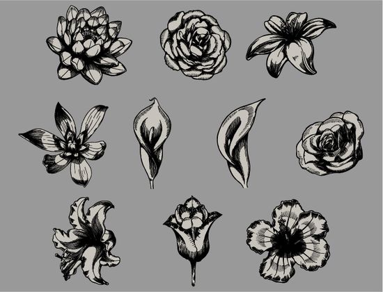 Floral Vector Pack 79 2