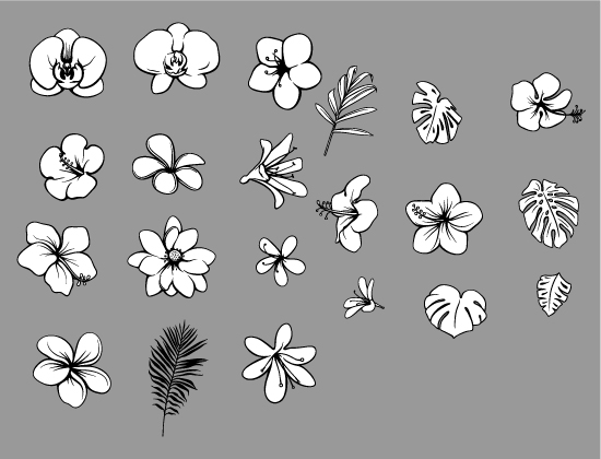 Tropical Plants Vector Pack 2 2