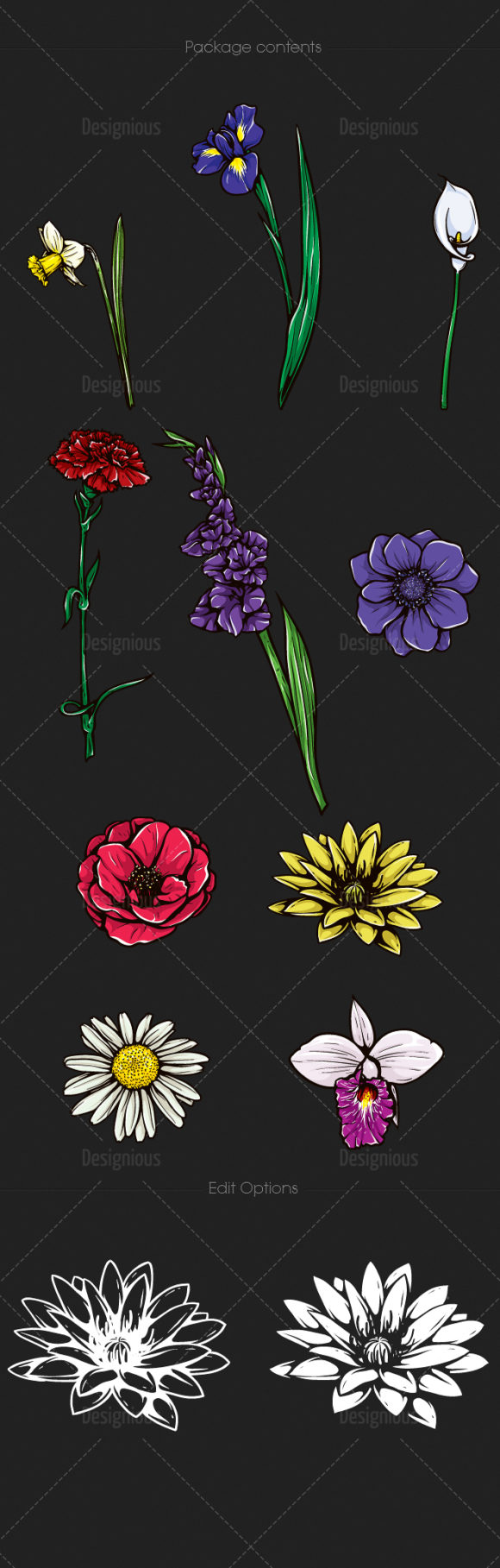 Floral Vector Pack 107 2