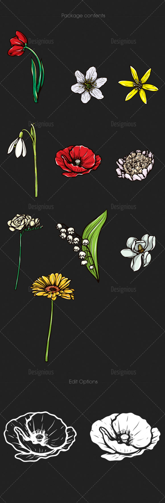 Floral Vector Pack 108 2