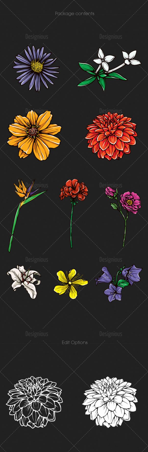 Floral Vector Pack 109 2