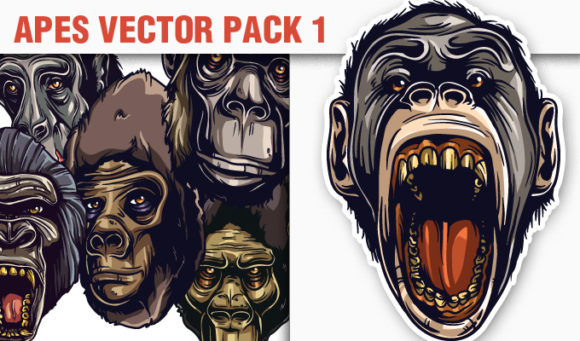 Apes Vector Pack 1 1