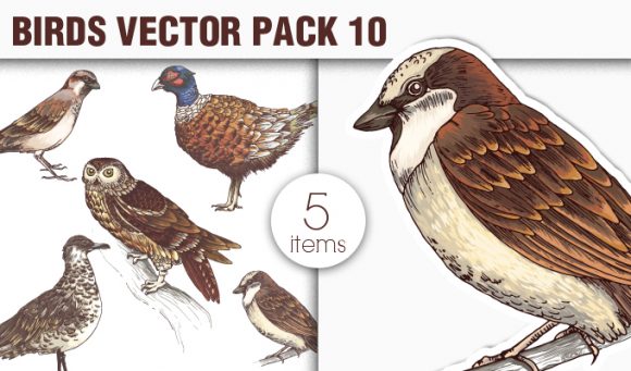 Birds Vector Pack 10 1