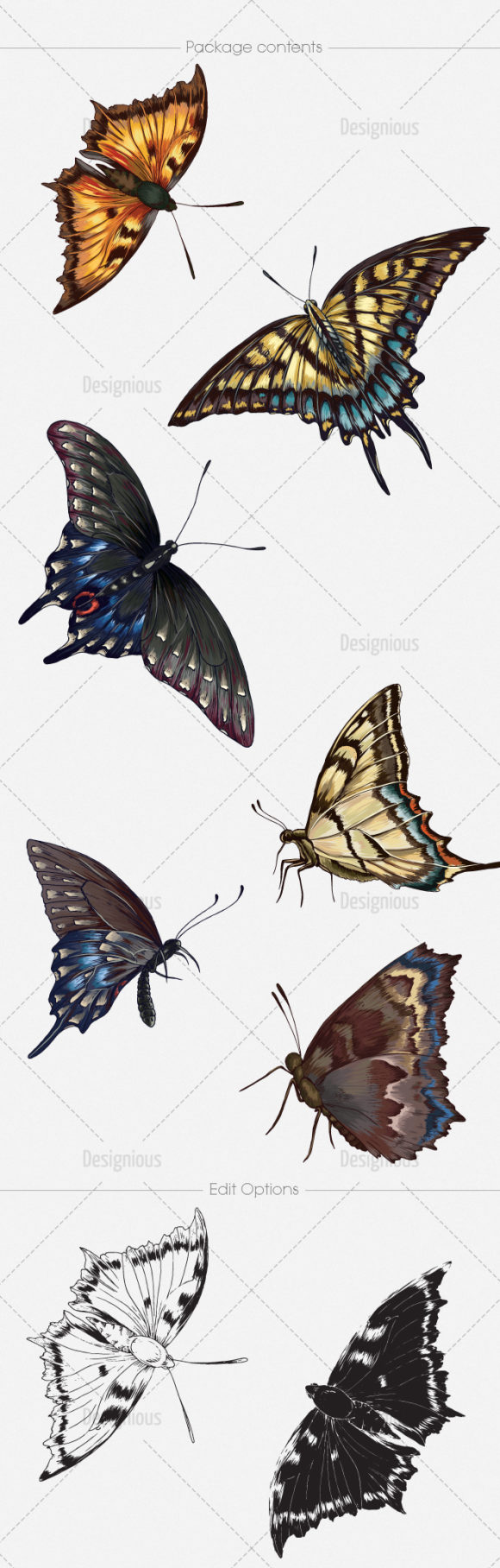 Butterflies Vector Pack 5 2