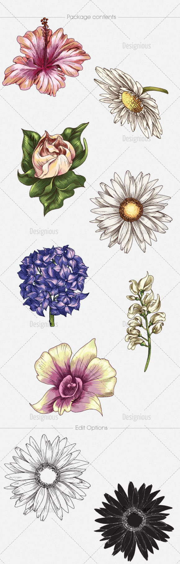 Floral Vector Pack 131 2