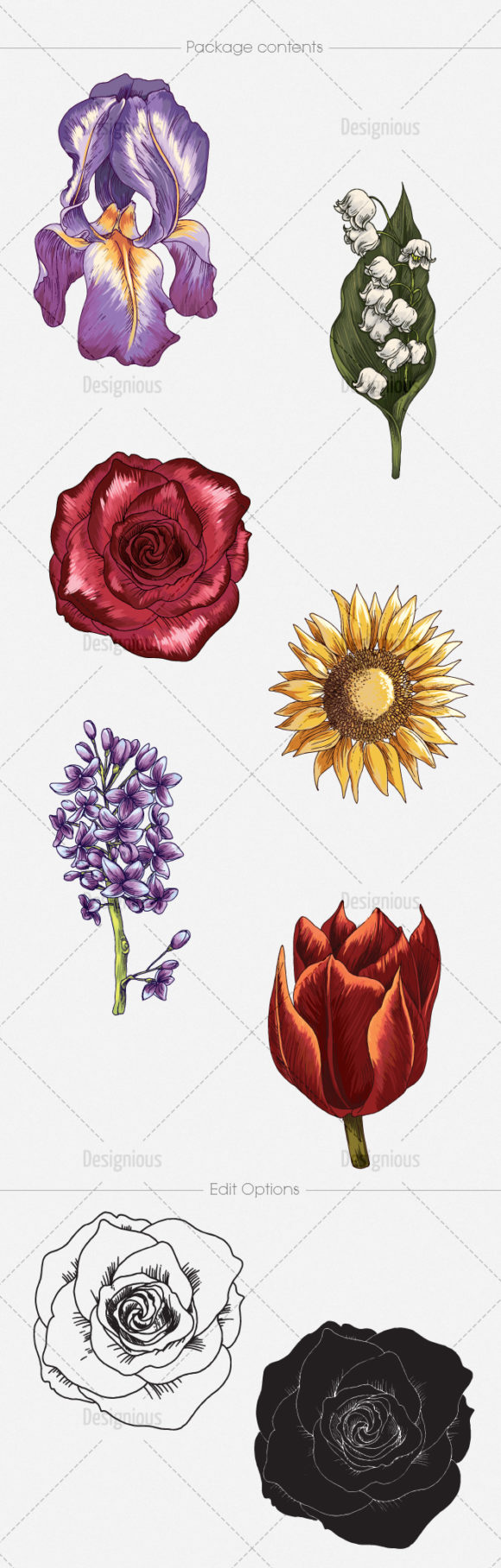 Floral Vector Pack 132 2