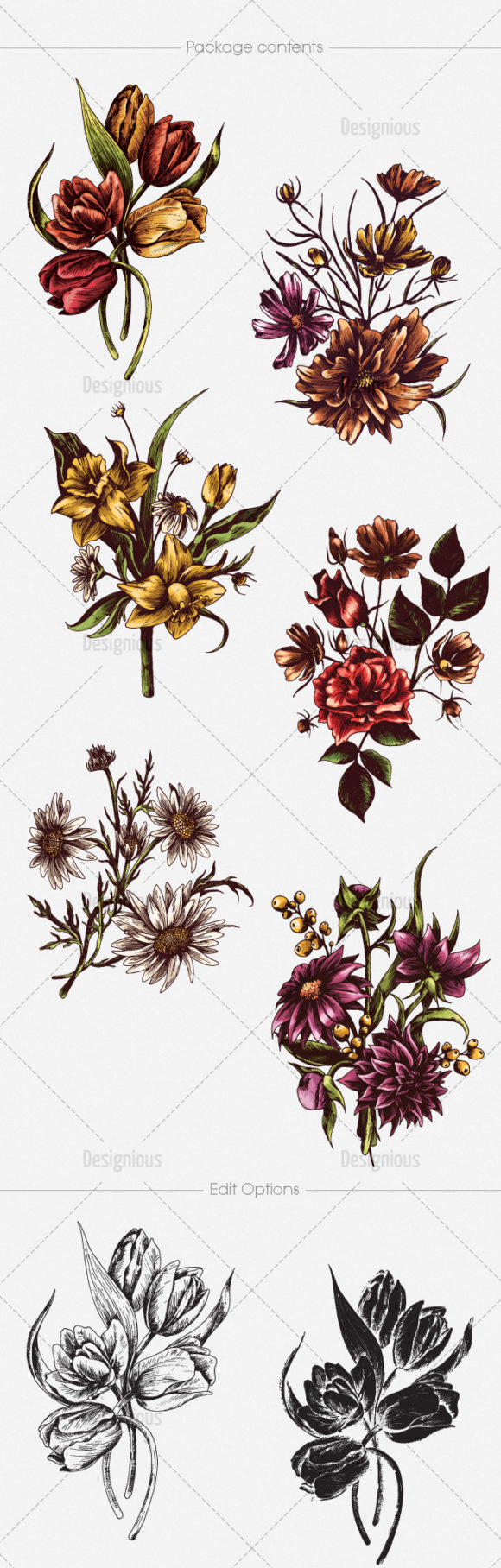 Floral Vector Pack 134 2