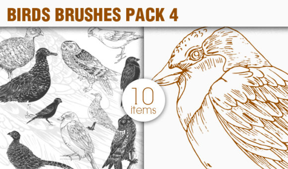 Birds Brushes Pack 4 1