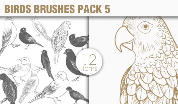 Birds Brushes Pack 5 1