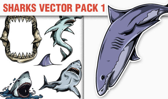 Sharks Vector Pack 1 1