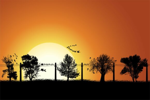 Vector Summer Background With Trees And Birds 1