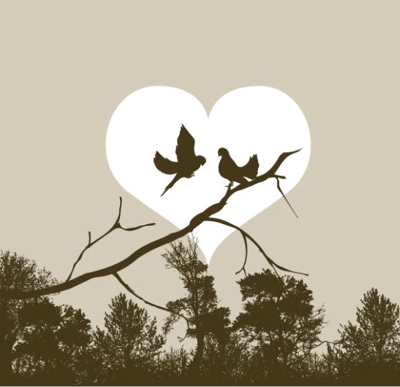 Birds Vector: Love Birds Vector Illustration 1