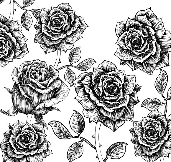 Brilliant Vector Vector Graphic: Vector Graphic Floral Background With Roses 1