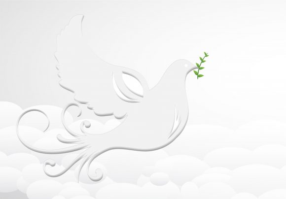 Vector, Olive, With Vector Artwork Vector Dove With Olive Branch 1