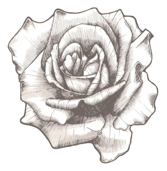 Bold Old Vector Art: Hand Drawn Rose Vector Art Illustration 1