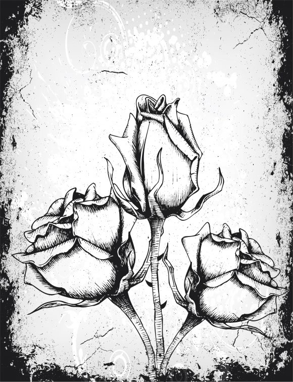 Background, Grunge, Roses, With, Old, Splash, Floral Vector Design Vector Grunge Floral Background With Roses 1