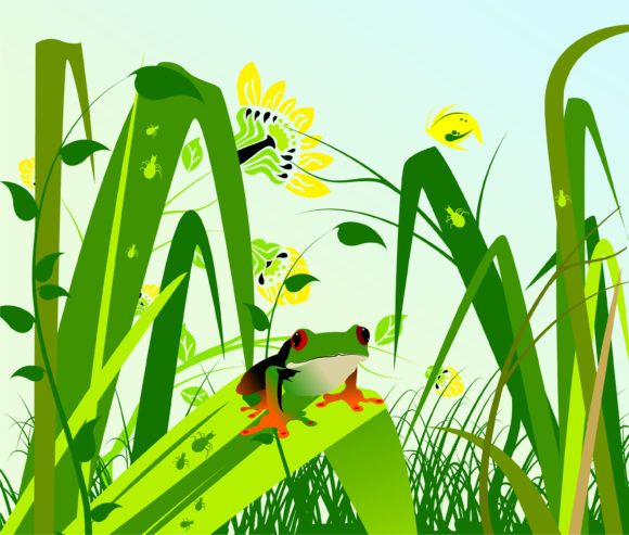 Frog, With, Vector Vector Illustration Vector Spring Illustration With Frog 1