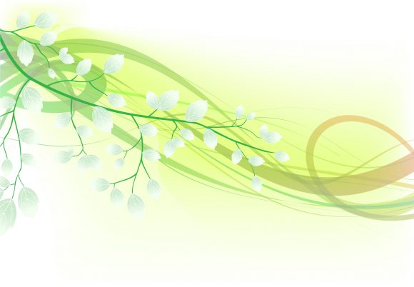 Decorationornateabstractsymboldesignillustrationbackgroundartartworkcreativedecorelegantimagevectorfloralleafplantflowerfakespringfreshgreenwave Vector Graphic Vector Spring Floral Background 1