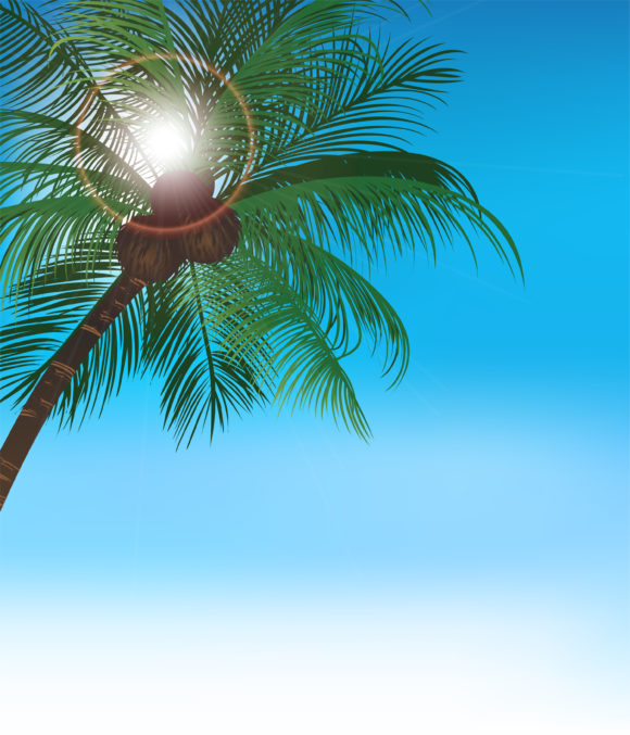 Tree Vector Background: Vector Background Summer Background With Palm Tree 1
