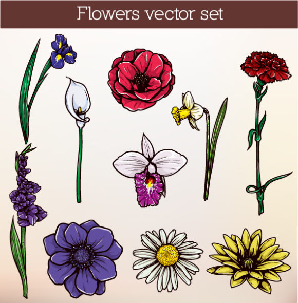 Floral Vector Illustration 1