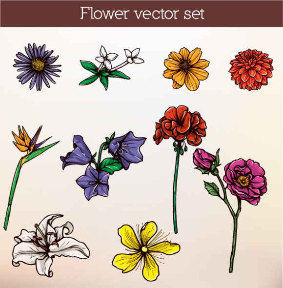 Floral Vector Illustration 1