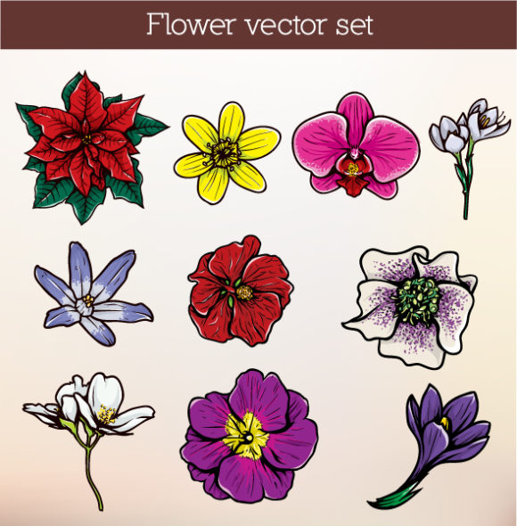 Floral Eps Vector: Floral Eps Vector Illustration 1