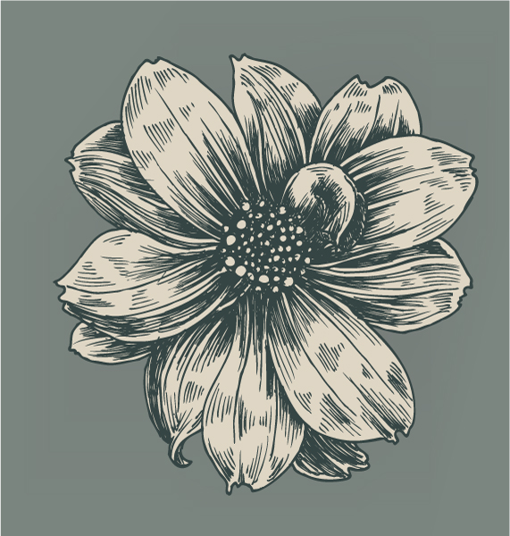 Art-nouvea Vector Design: Vintage Flower Vector Design Illustration 1