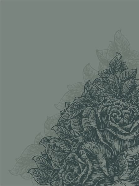 Special Art-nouvea Vector: Vector Vintage Floral Background With Roses 1