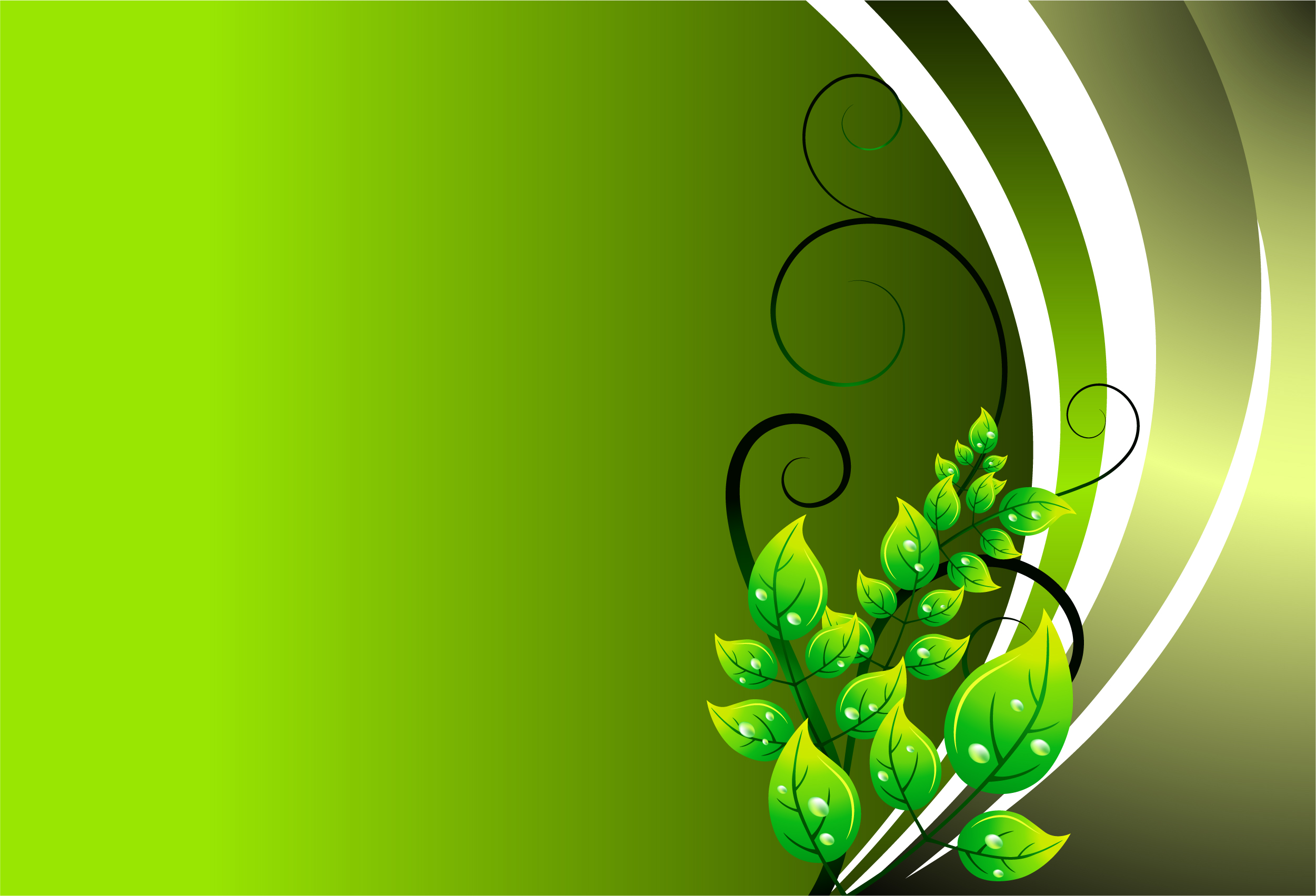 Green Eps Vector Green Floral Background Vector Illustration - Designious