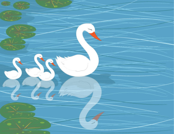 Illustration, Water, On, Swans Vector Design Swans On Water Vector Illustration 1