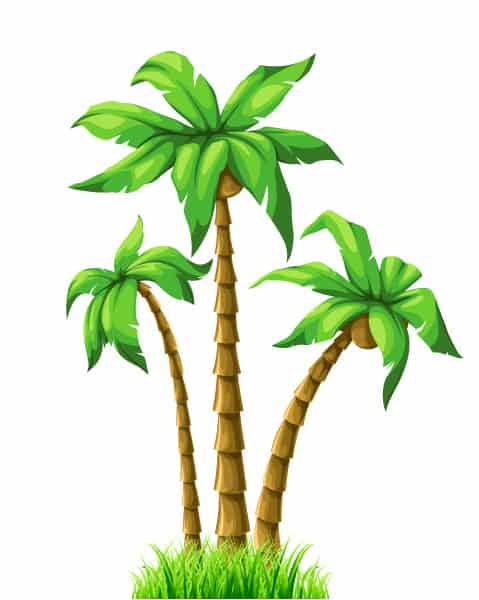 Palm Vector Graphic Vector Summer Illustration With Palm Trees 1