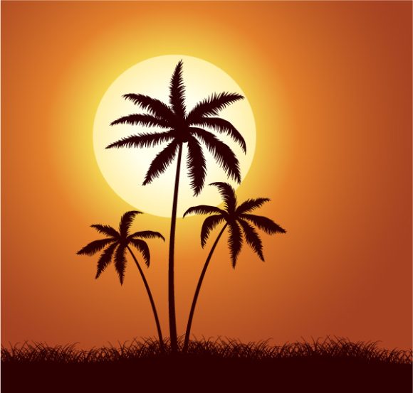 Gorgeous Tree Vector Artwork: Vector Artwork Summer Illustration With Palm Trees 1