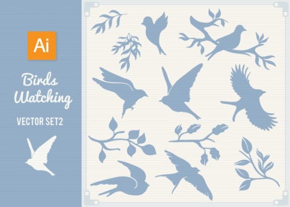 Bird Watching Vector Set 1 1