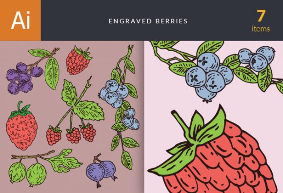 Engraved Berries Vector Set 1 1