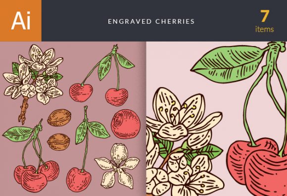 Engraved Cherries Vector Set 1 1