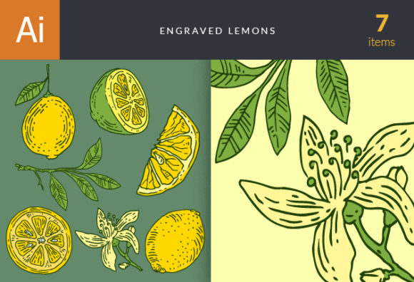 Engraved Lemons Vector Set 1 1
