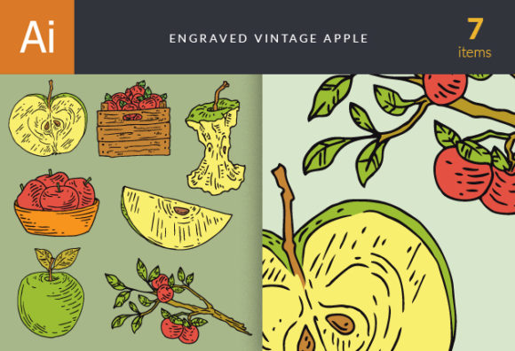 Engraved Vintage Apple Vector Set 1 1